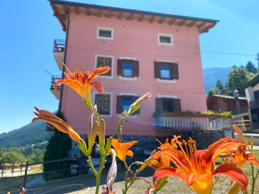 Fleurs De Neige Apartment Pila  Exterior photo